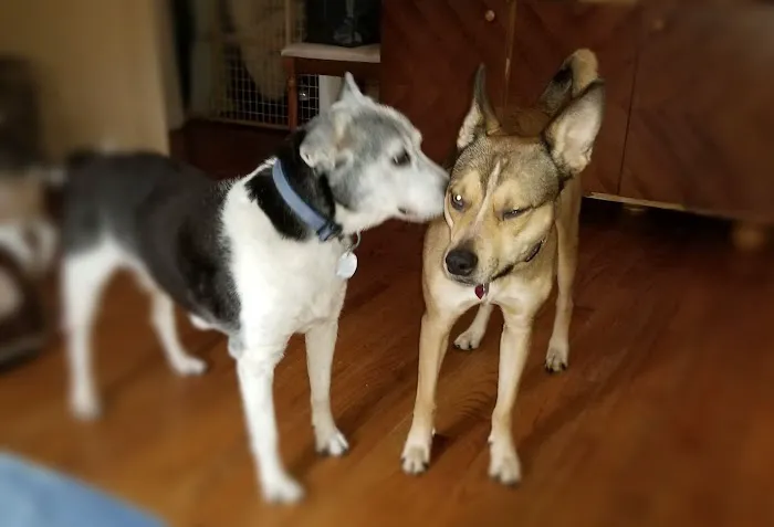 Fruitport Animal Hospital Picture 8