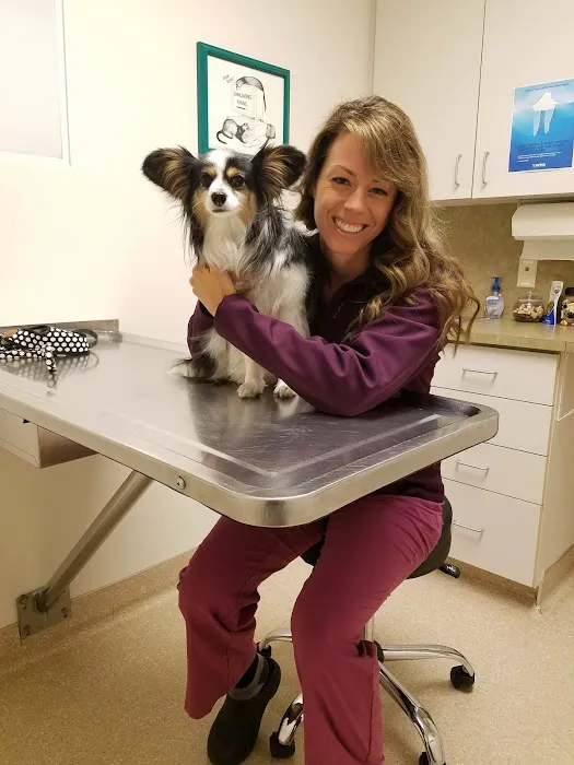 Fruitport Animal Hospital Picture 7