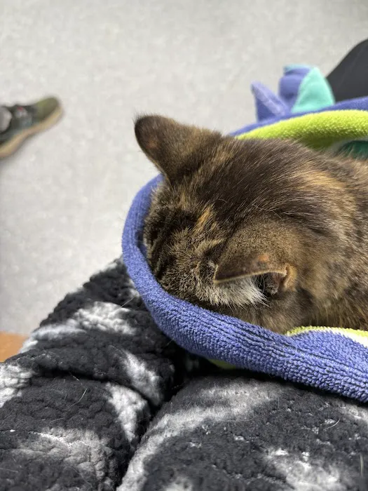 Pomona Park Animal Urgent Care Picture 2