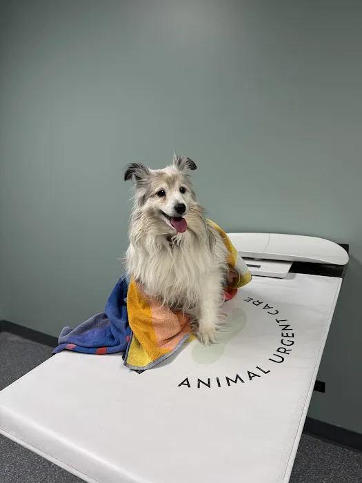 Pomona Park Animal Urgent Care Picture 3