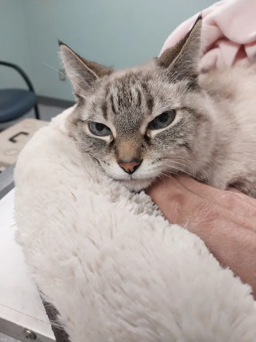 Pomona Park Animal Urgent Care Picture 7