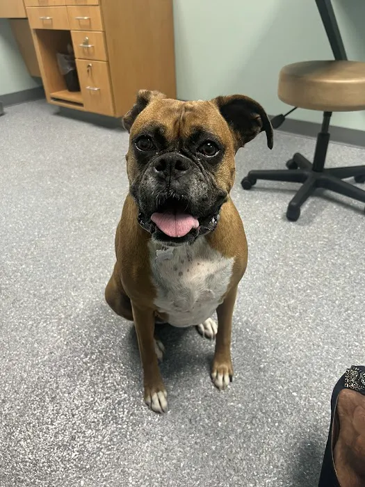 Pomona Park Animal Urgent Care Picture 8