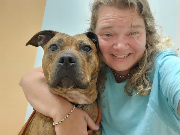 West Shore Veterinary Clinic, Dr. Heidi Heckler, DVM Picture 8