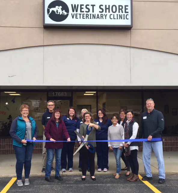 West Shore Veterinary Clinic, Dr. Heidi Heckler, DVM Picture 9