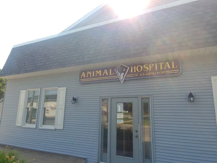 Animal Hospital of Ludington Picture 2
