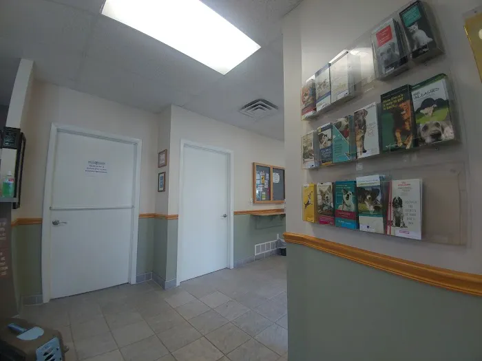 Animal Hospital of Ludington Picture 5