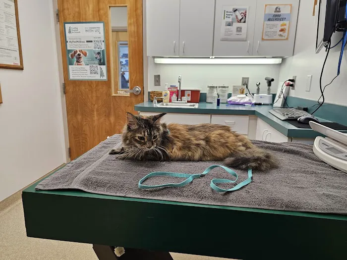 Grayling Hospital For Animals Picture 2