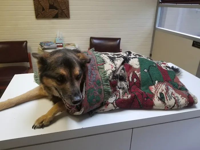 South Pointe Animal Hospital Picture 9