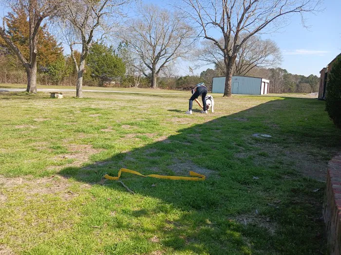 Rodgers Veterinary Services Picture 2