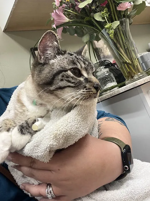 Rodgers Veterinary Services Picture 5
