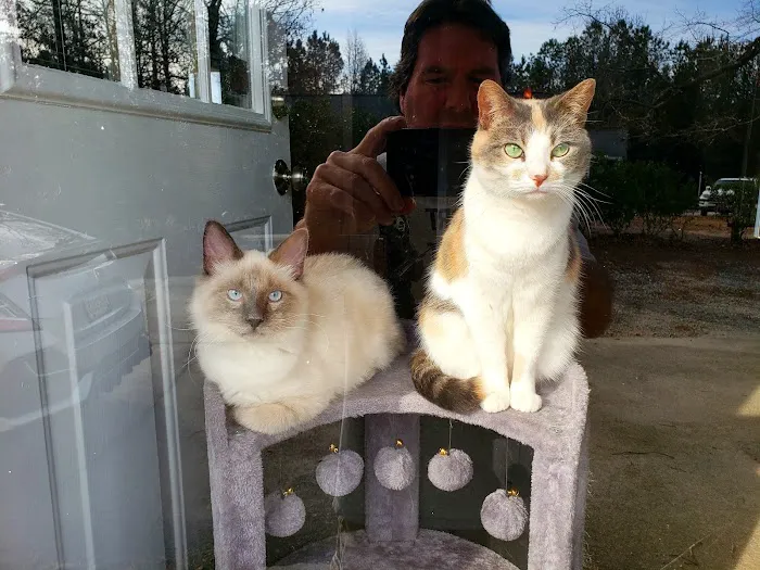 Thomson Mc Duffie Animal Hospital Picture 9