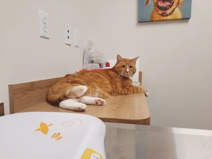Reese Veterinary Hospital Picture 2