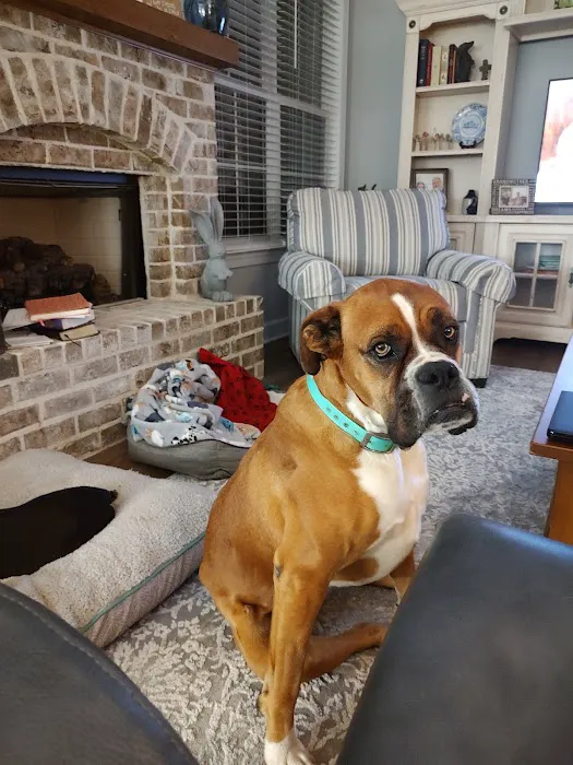 Reese Veterinary Hospital Picture 6