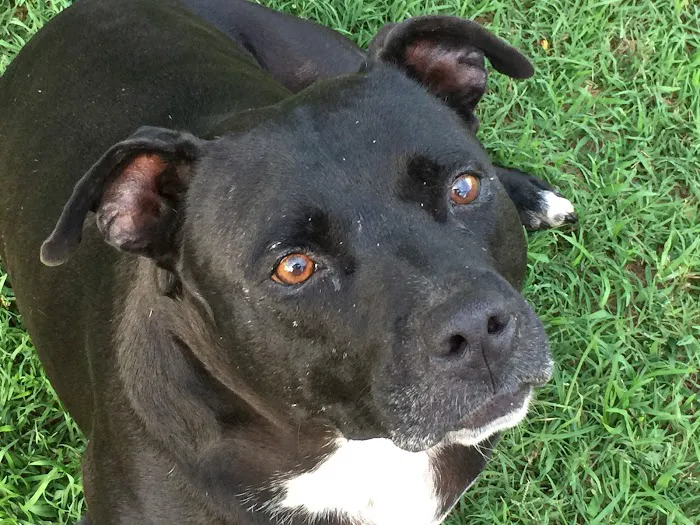 Miller Veterinary Services Picture 7