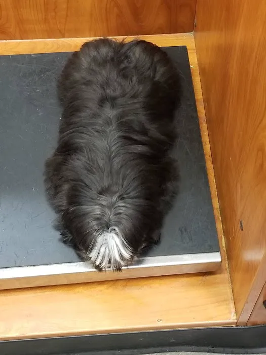 Banfield Pet Hospital Picture 1