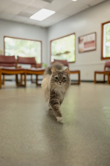 Rockdale Animal Hospital Picture 6