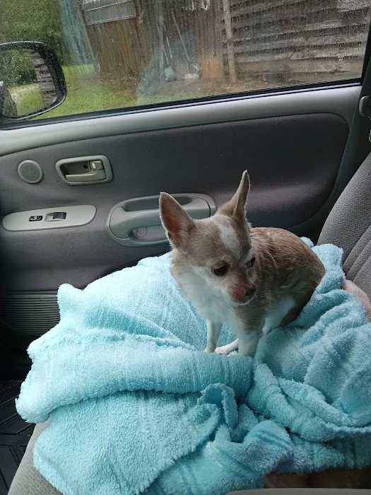 Animal Medical Clinic Picture 5