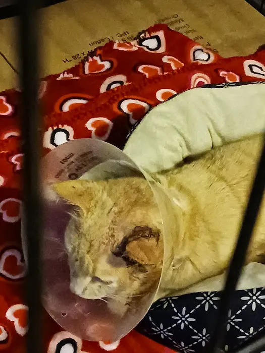 Honey Creek Veterinary Hospital Picture 6
