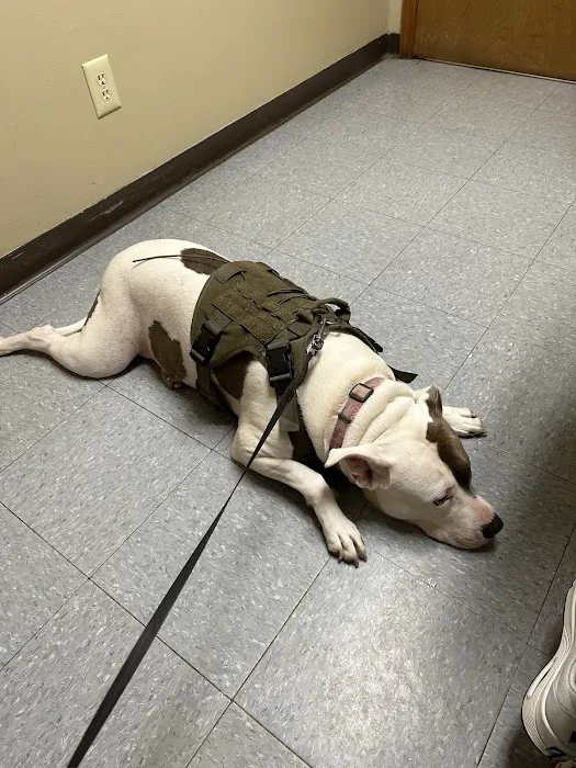 Honey Creek Veterinary Hospital Picture 5