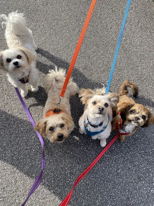 Chastain Animal Clinic Picture 7