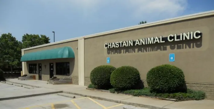 Chastain Animal Clinic Picture 10