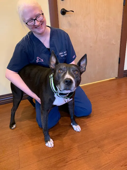 Arkle Veterinary Care Picture 2