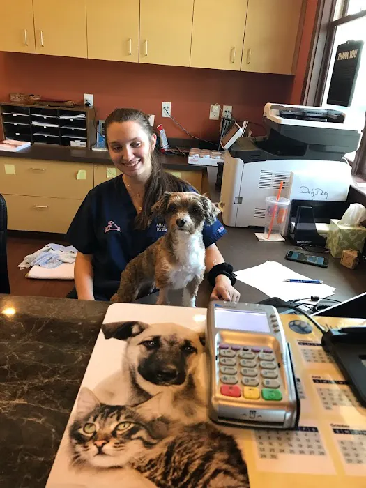 Arkle Veterinary Care Picture 1