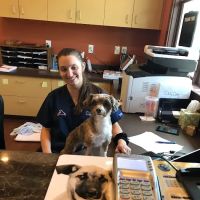 Arkle Veterinary Care ico