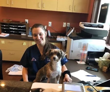 Arkle Veterinary Care
