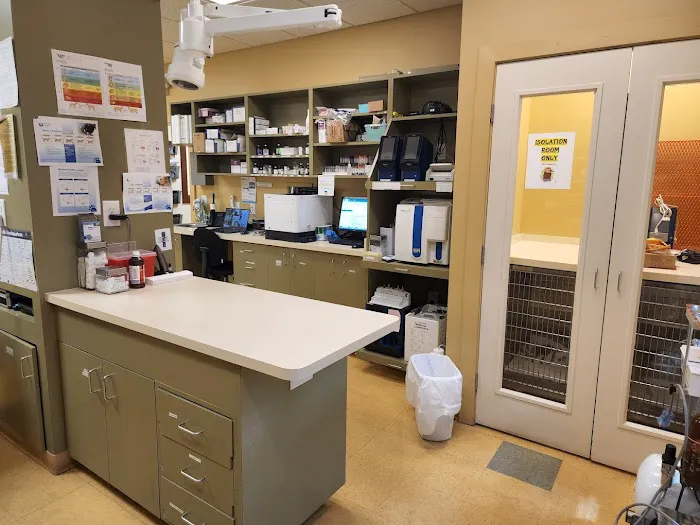 Arkle Veterinary Care Picture 8