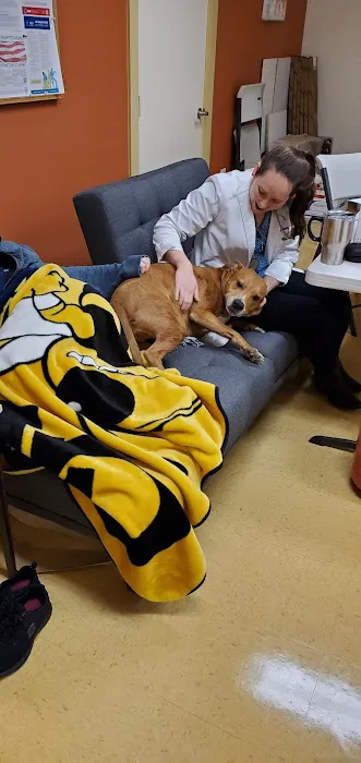 Arkle Veterinary Care Picture 6