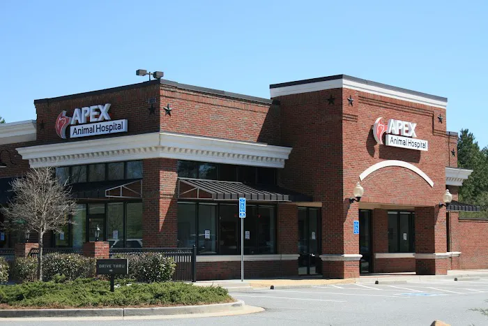 Apex Animal Hospital Picture 6