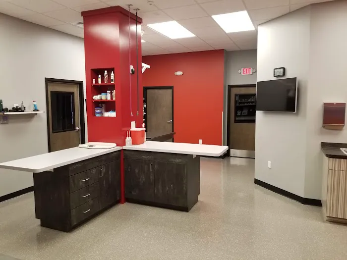 Apex Animal Hospital Picture 10