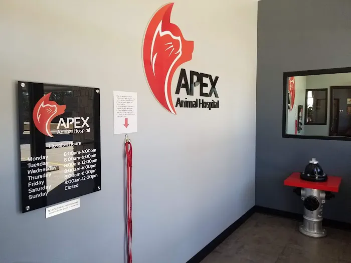 Apex Animal Hospital Picture 9