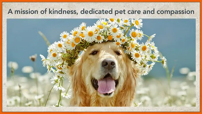 Animal Care Center Picture 3