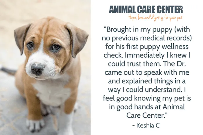 Animal Care Center Picture 8
