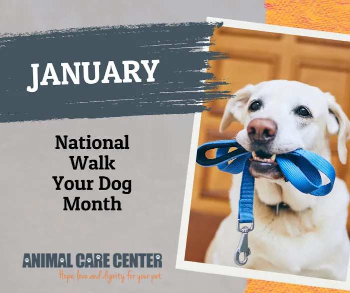 Animal Care Center Picture 10