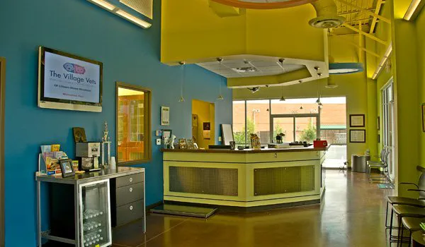 The Village Vets Buckhead Picture 1
