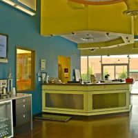 The Village Vets Buckhead ico