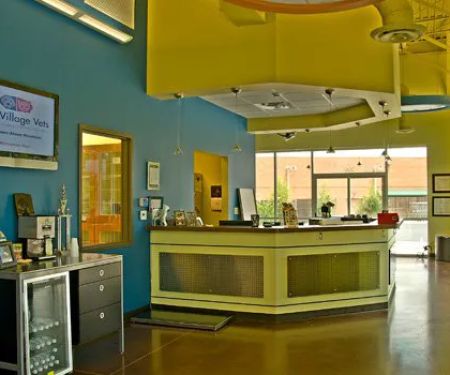 The Village Vets Buckhead