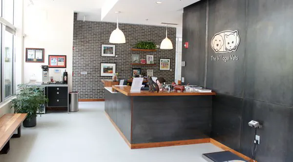 The Village Vets Buckhead Picture 7