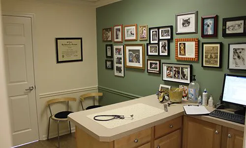 The Village Vets Buckhead Picture 8