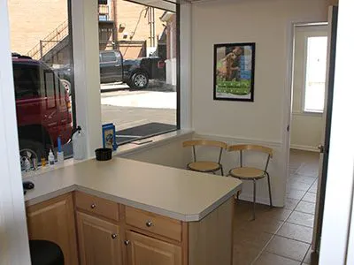 The Village Vets Buckhead Picture 4