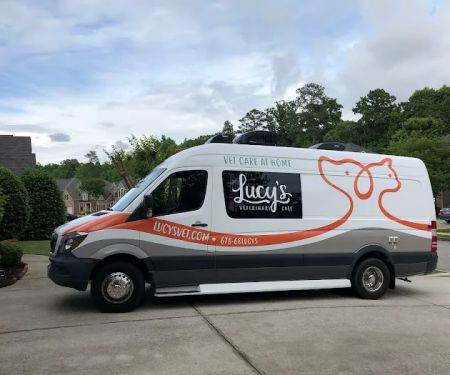 Lucyu2019s Veterinary Care