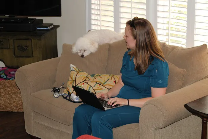 Lucy’s Veterinary Care Picture 2