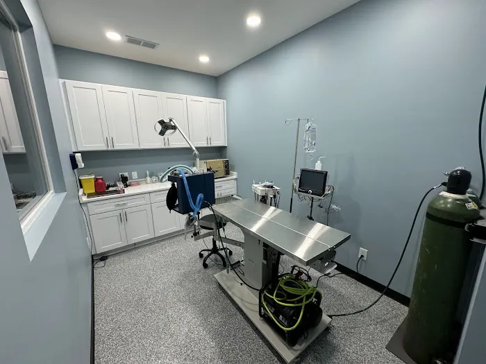 Lucy’s Veterinary Care Picture 6