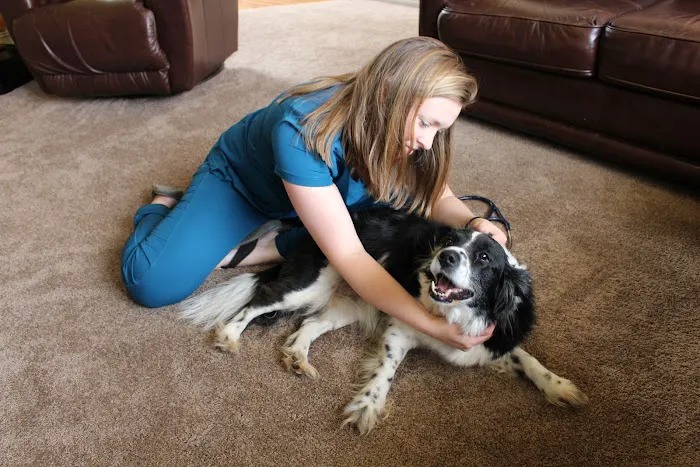 Lucy’s Veterinary Care Picture 3