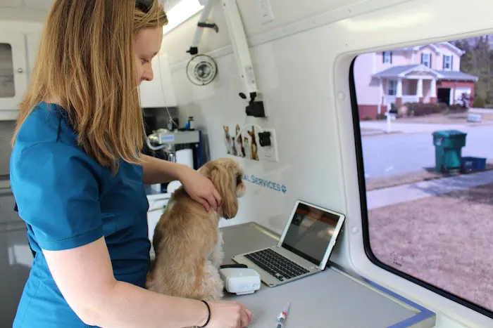 Lucy’s Veterinary Care Picture 7