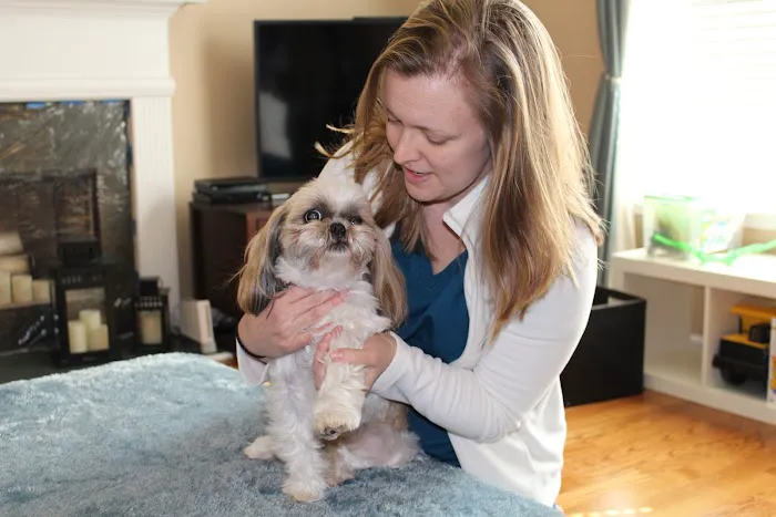 Lucy’s Veterinary Care Picture 9