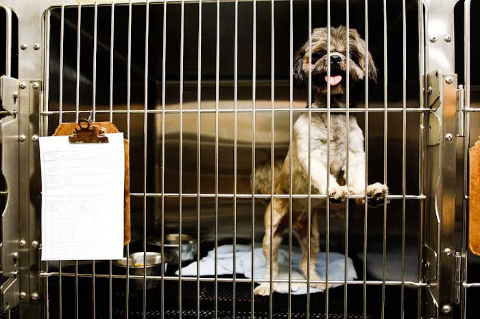 Hiram Animal Hospital Picture 8